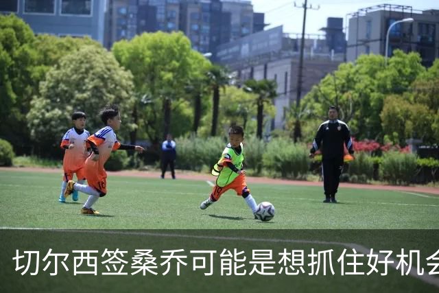 切尔西签桑乔可能是想抓住好机会 目前转会费合理